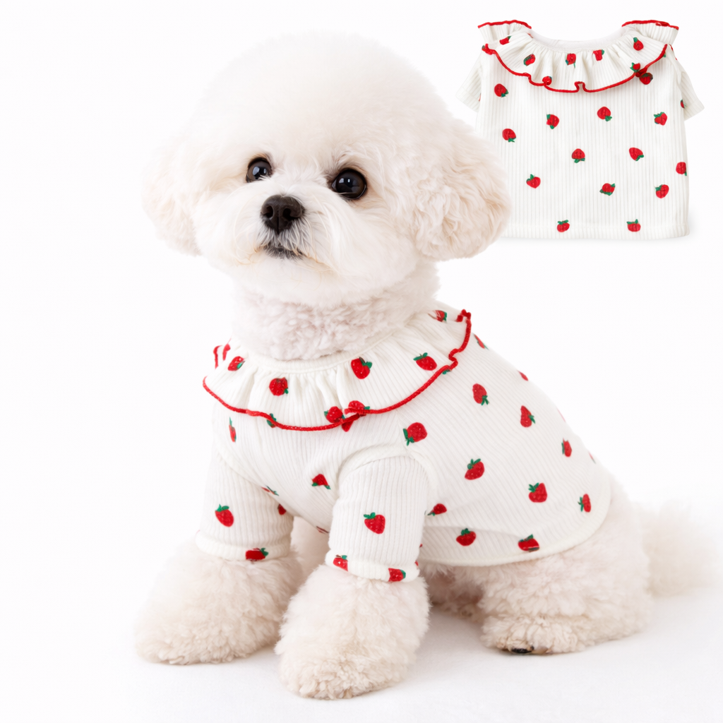 Fruit Print Dog Sweater