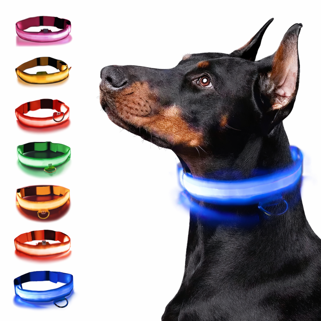 Rechargeable LED Glowing Dog Collar