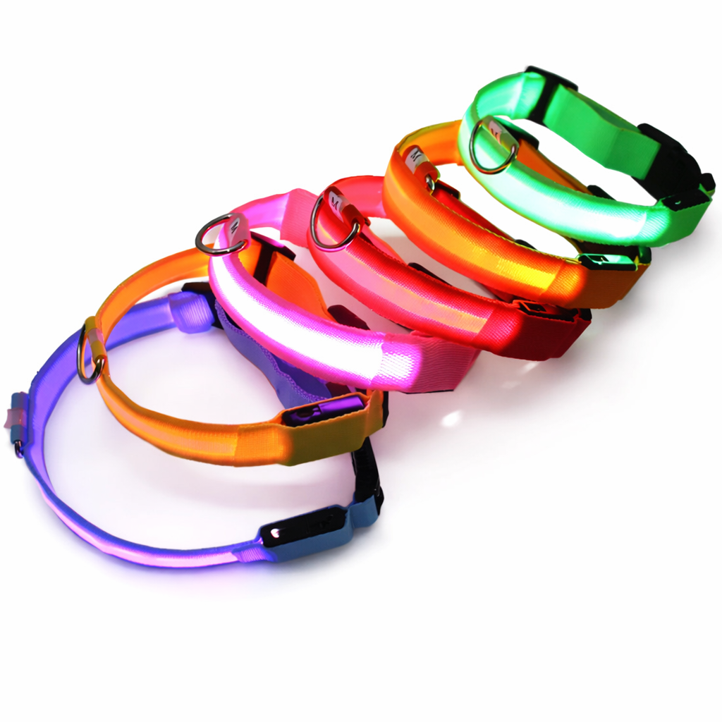 Rechargeable LED Glowing Dog Collar