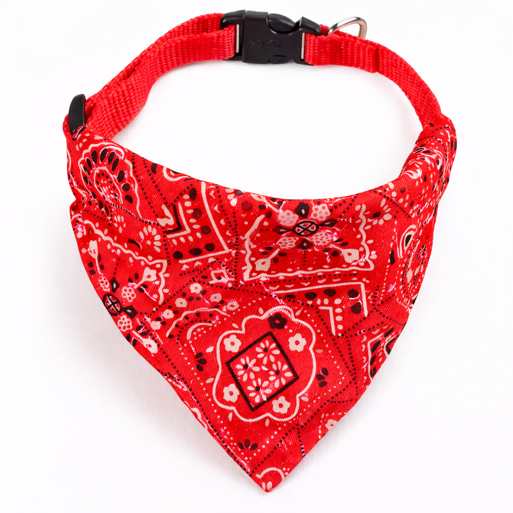 Cat Scarf Bandana Collar