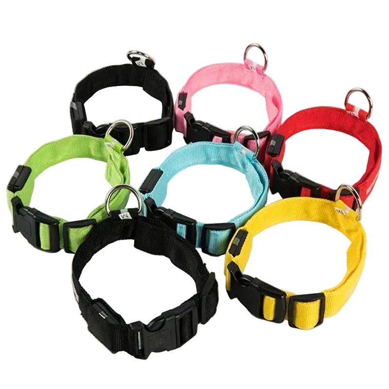 Rechargeable LED Glowing Dog Collar