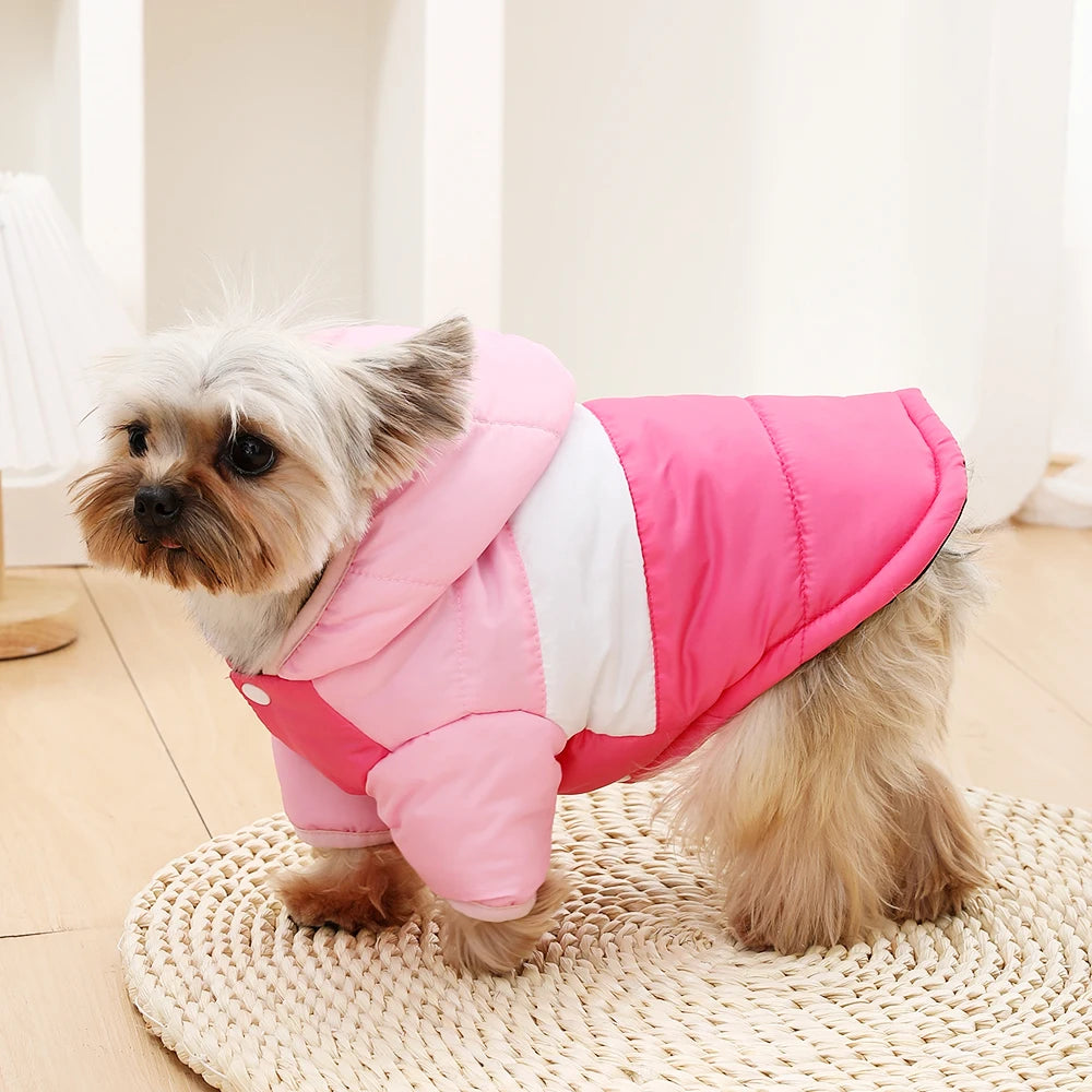 Waterproof Winter Dog Coat with Hood