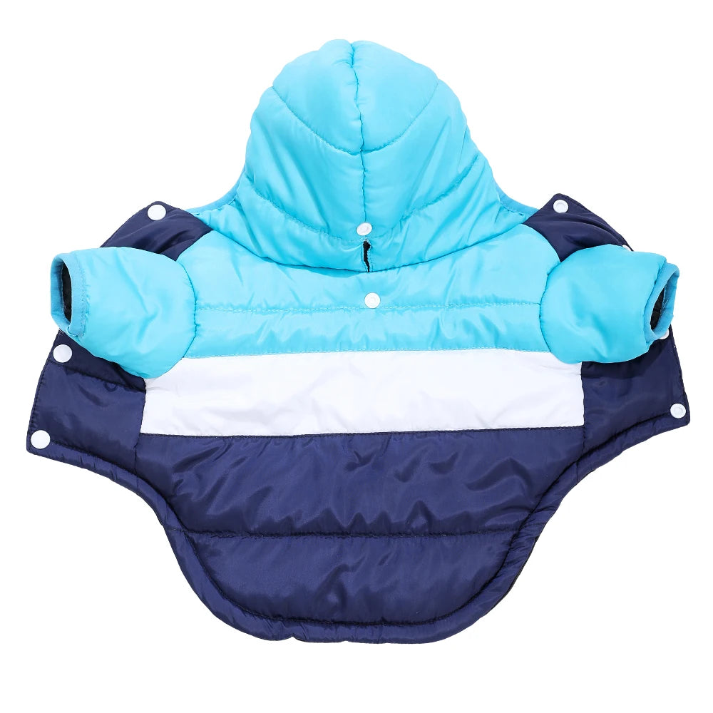 Waterproof Winter Dog Coat with Hood