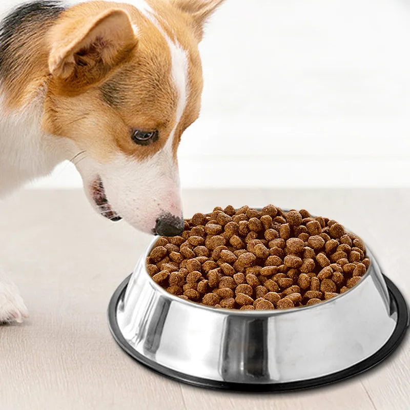 Stainless Steel Pet Bowl