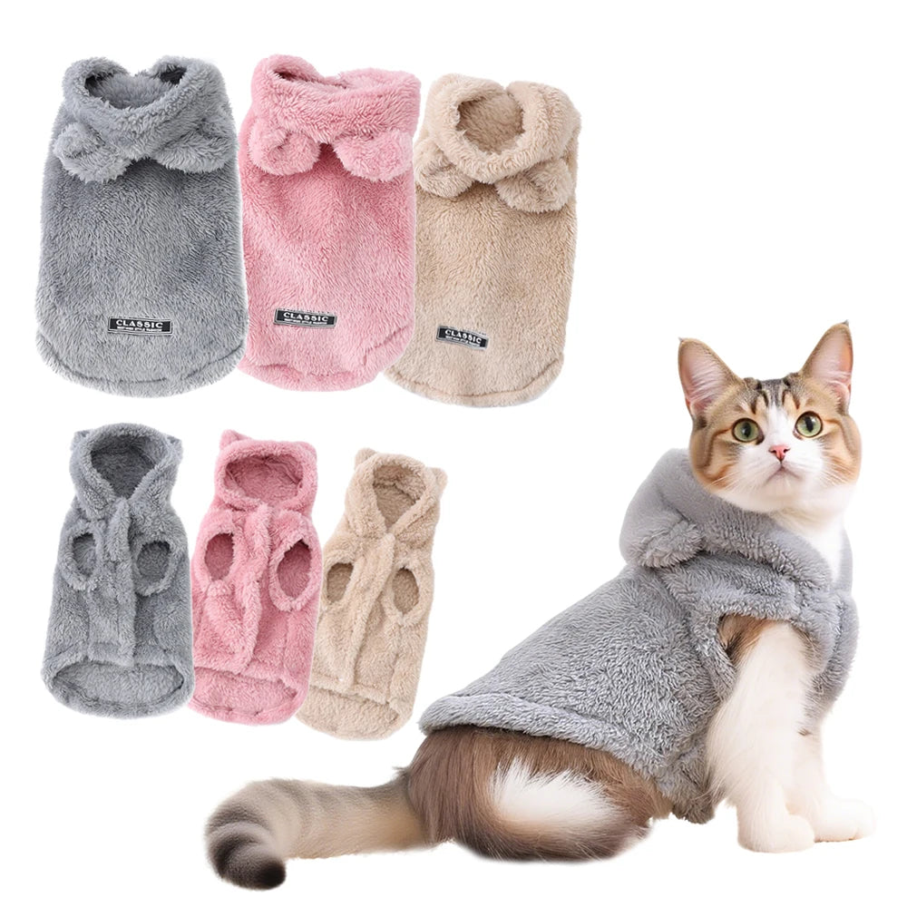 Cozy Cat Winter Apparel