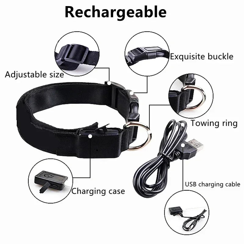 Rechargeable LED Glowing Dog Collar