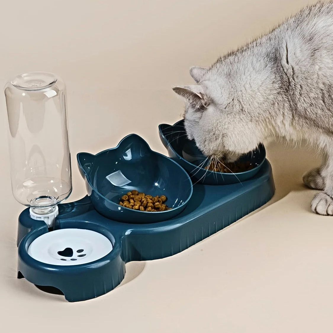 3-in-1 Cat Feeding Bowl with Water Bottle