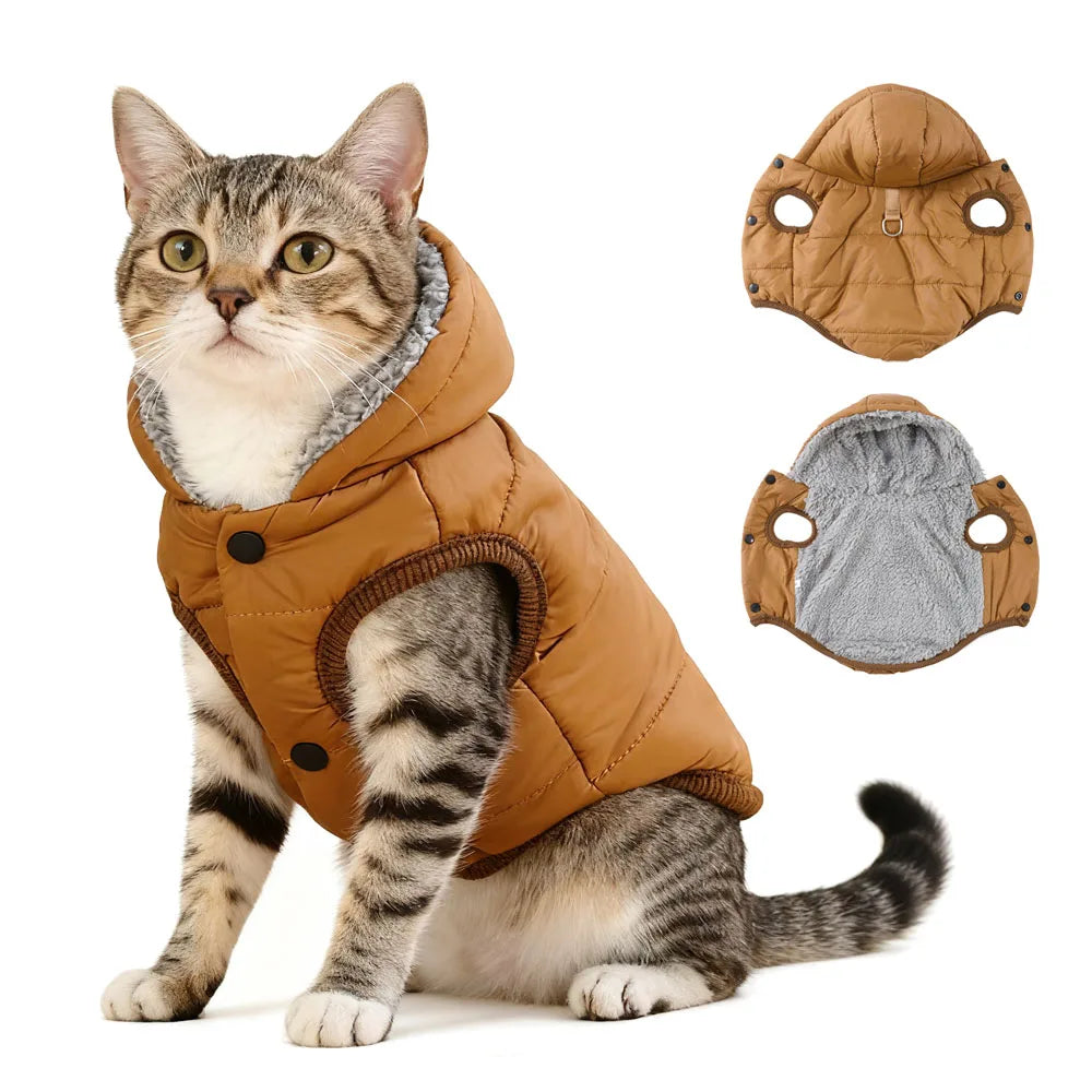 Warm Cat Hoodie