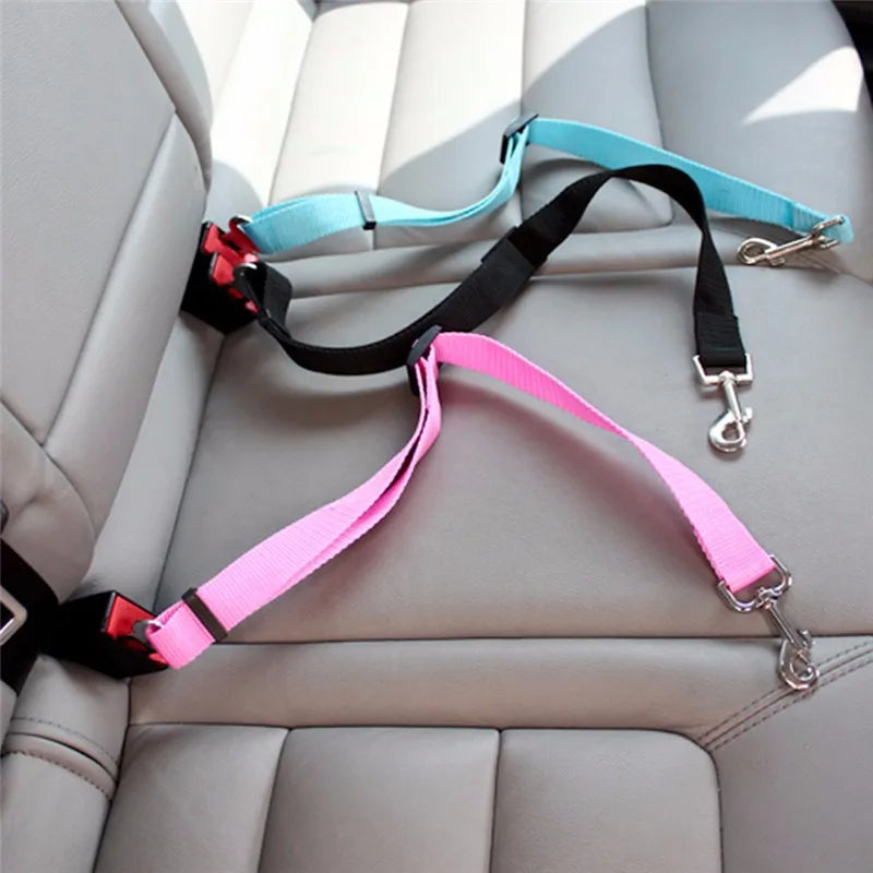 Car seat belt for dogs